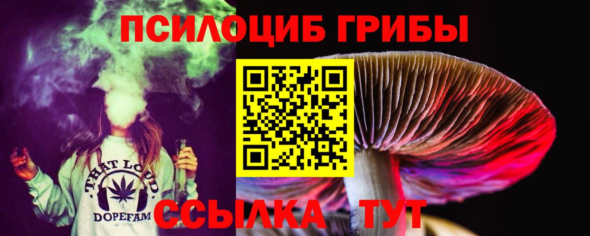 Орехово-Зуево  Псилоцибиновые грибы GOLDEN TEACHER  Вход с VPN 